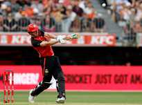 提供了更多 提供了更多